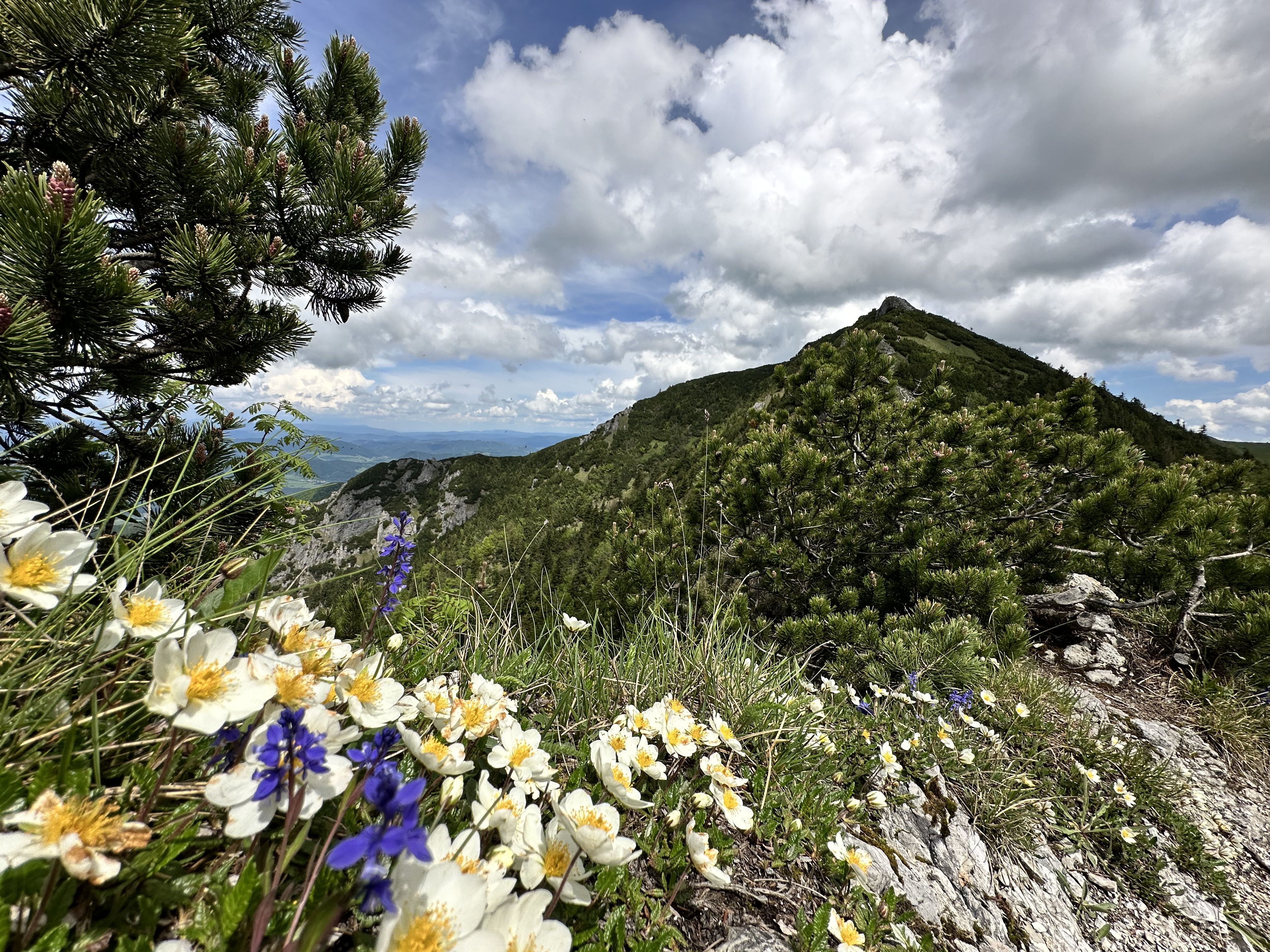 Cakry Malej Fatry_1789