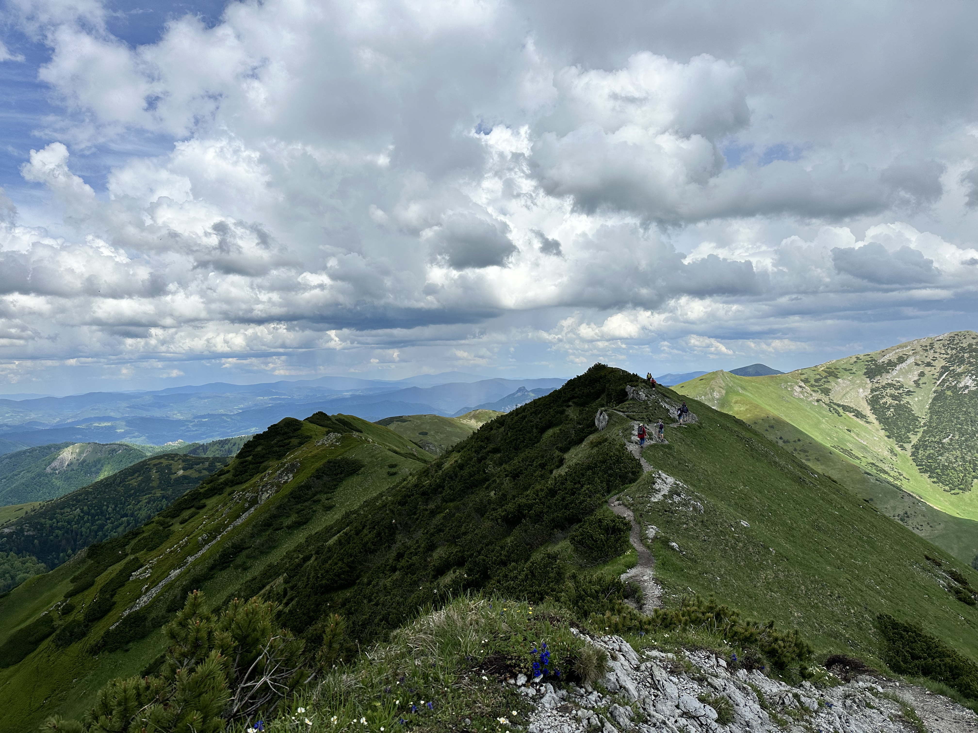 Cakry Malej Fatry_1911