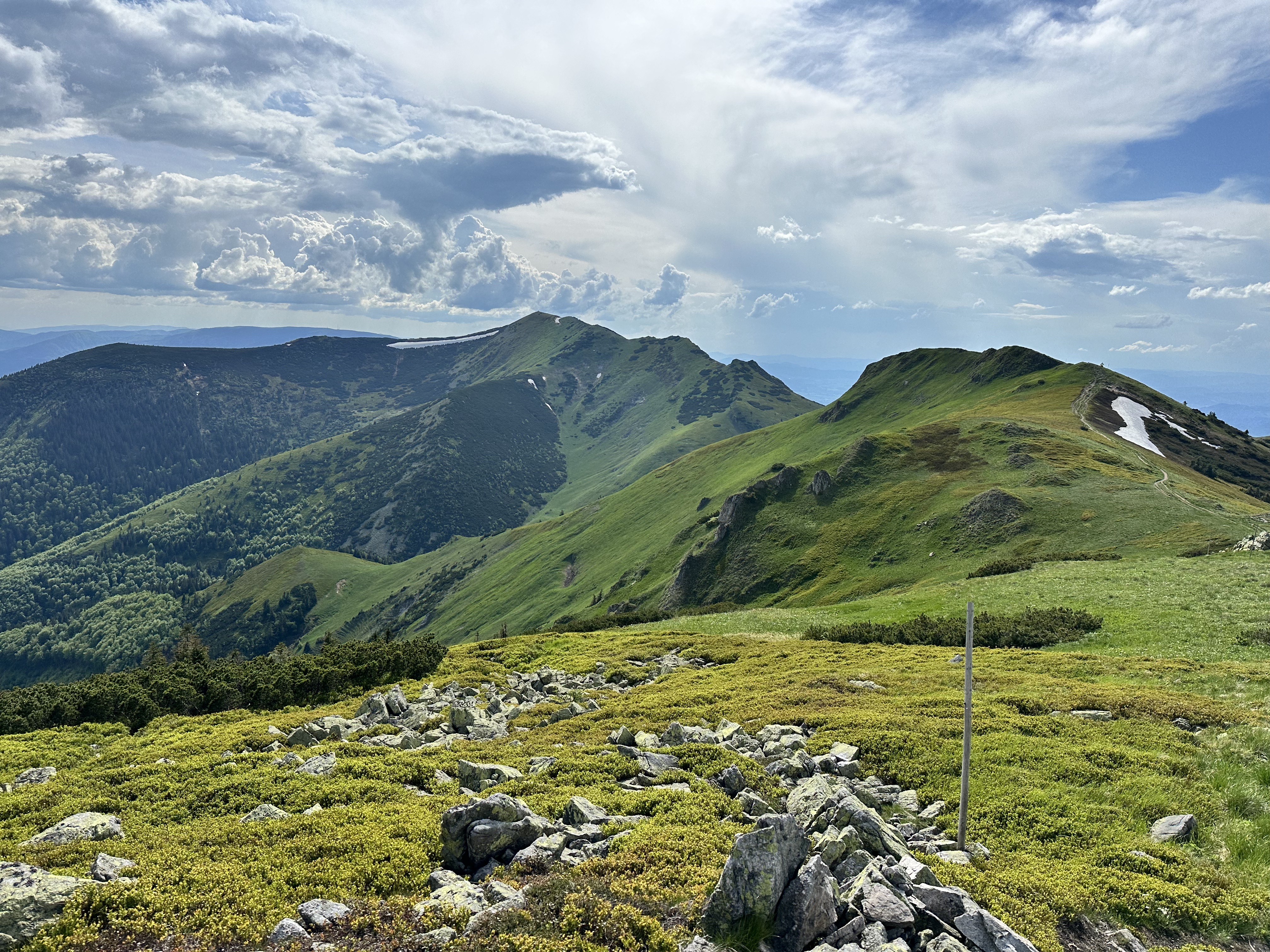 Cakry Malej Fatry_1952